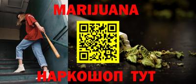 тгк Кингисепп