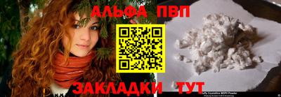тгк Кингисепп