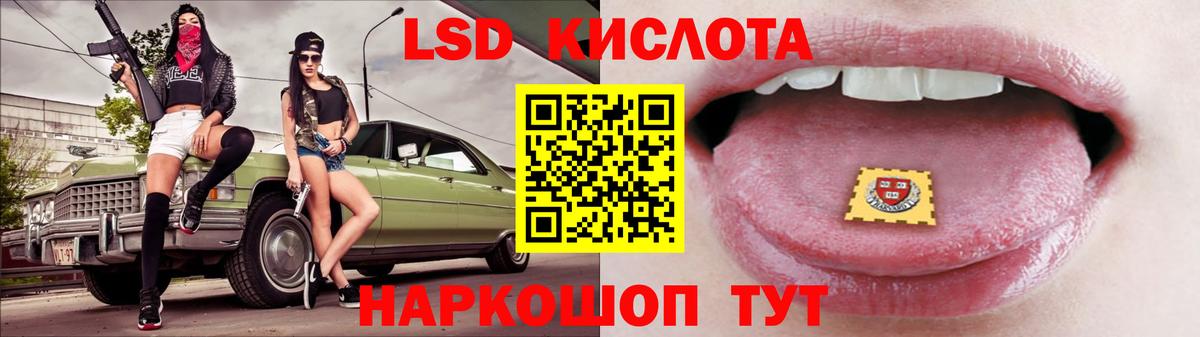 Псилоцибиновые грибы Лесозаводск